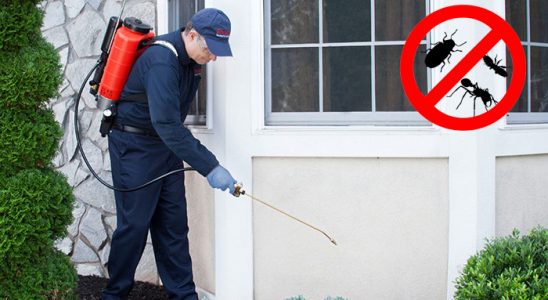 Pozantı Böcek İlaçlama böcek ilaçlama ve haşere kontrolü — ilaclama-tr.com